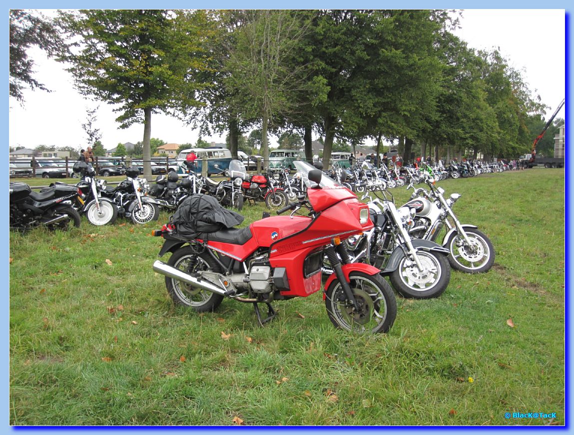 rockabilly day 2009 - wippelgem