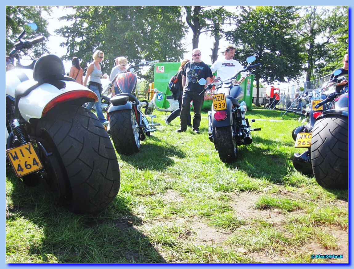 rockabilly day 2010 - chateau Wippelgem